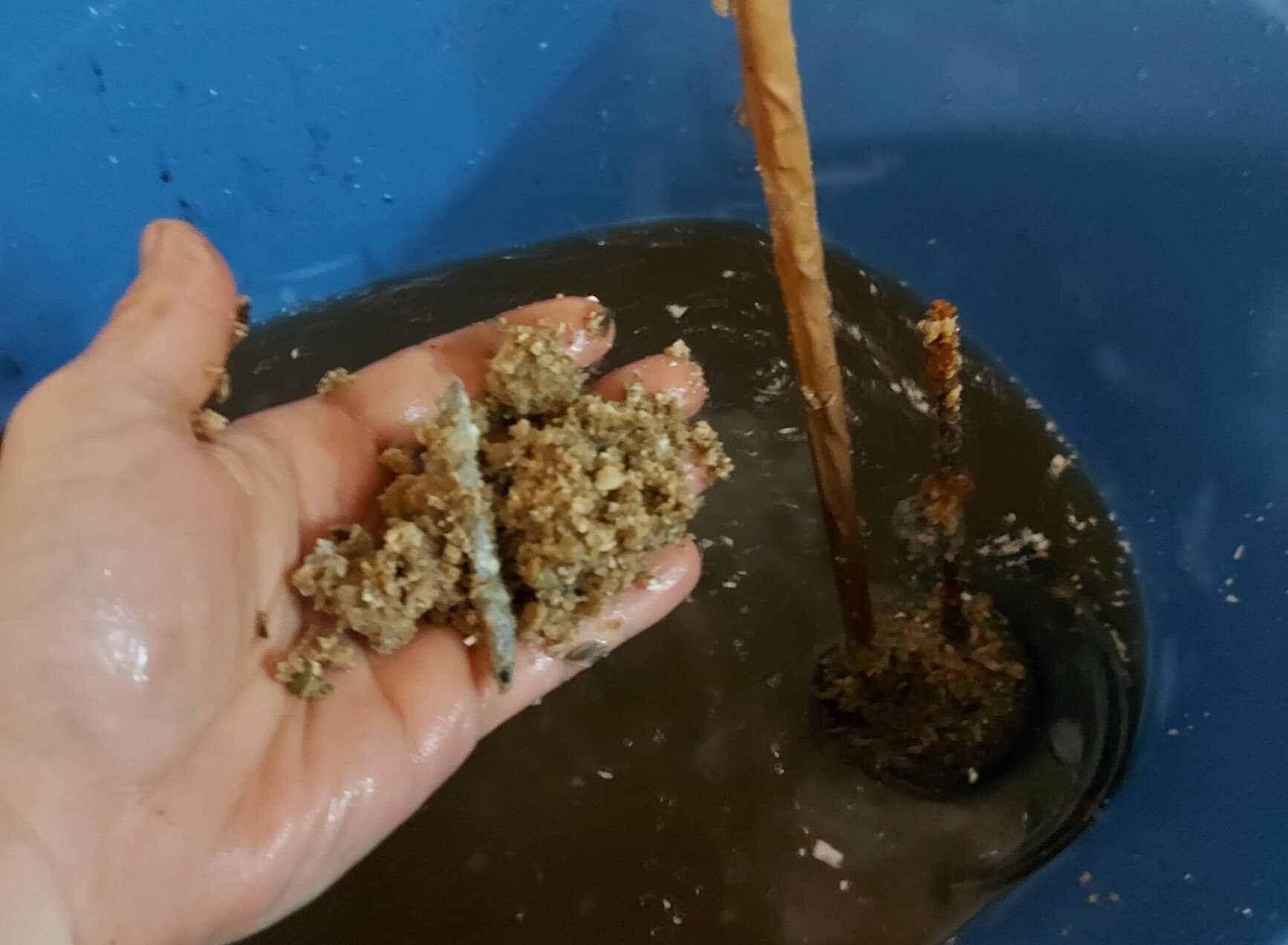 Brauchst du wirklich eine Entkalkungsanlage? – Wasser-Tester
